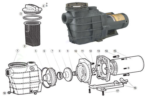 hayward Super II pump diagram