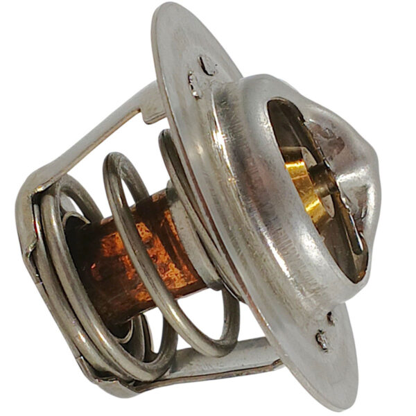 019062F 602347 Raypak® Avia 264–404 Pool Heater Unitherm Governor