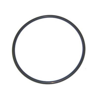 92200000 Aqua-Flo A-Series Pump Lid O-Ring