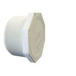 450-020 Plug 2 in. Mipt