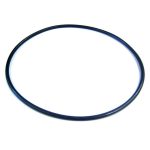 SPX1705Z1 Hayward Housing O-Ring Gasket Power-Flo II