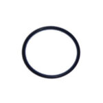 071426 Pentair® SMBW 4000 2000 Filter Noryl Rotor Manifold O-Ring