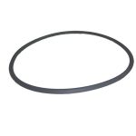 R0357800 Jandy DEV DEL Filter Tank O-Ring O-524