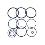 R0358000 GENUINE Jandy Zodiac O-ring Kit DEL DEV CV CL Filter