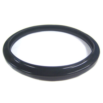 R0790500 GENUINE Jandy® Large Pool Light Gasket