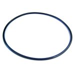 SPX4000T Aladdin NorthStar Hayward Pump Seal Plate O-Ring