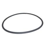 24850-0009 Pentair 25 in. Cord O-Ring System:3 Filter