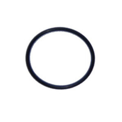 86006900 Pentair® FNS Plus Filter Bulkhead O-Ring