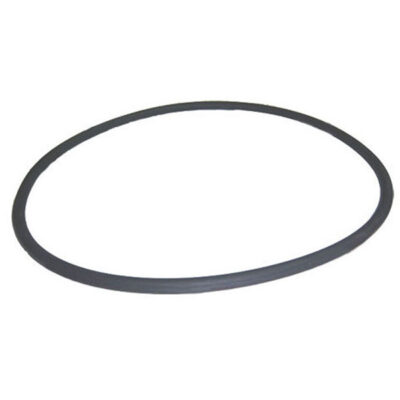 39010200 Pentair® FNS Plus Quad DE CCP Filter Tank O-Ring O-497
