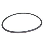 071442 Pentair Purex SMBW 2000 Filter Lid O-Ring Red Line O-86