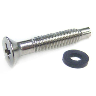 619355 Pentair® SS Pool Light Pilot Screw