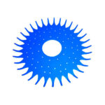 K12413 GENUINE Pentair® Seal Vacuum 18in Kitkruiser