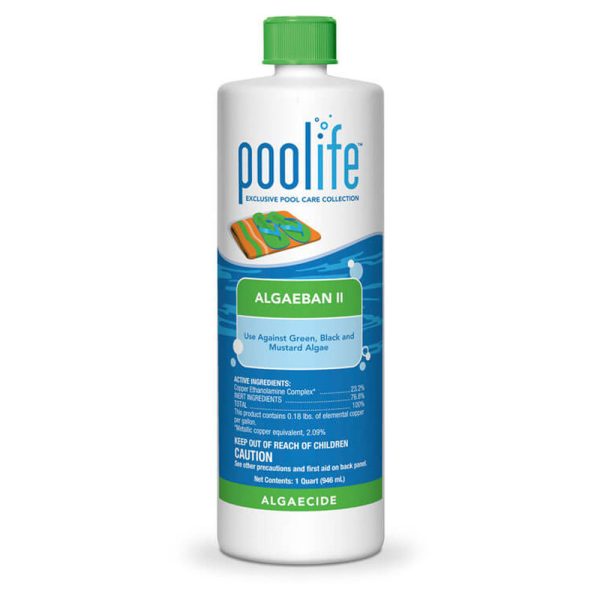 62069 Poolife Algaeban II Swimming Pool Algaecide 1 Quart