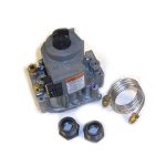 003900F GENUINE Raypak Heater Gas Valve IID Natool