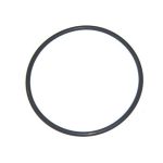 O-136 39300300 Ultra-Flow & Americana Pump Pentair Lid O-Ring V38-161