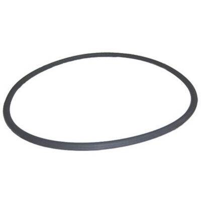 805-0000 Waterway Crystal Water O-Ring