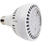 White LED Bulb for Incandescent Pool Lights