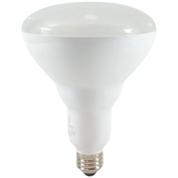 White LED Pool Light Bulb 1600 Lumens 14 Watts Cool White 4000K 120V