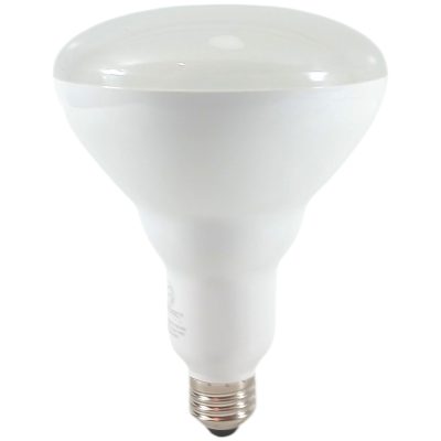 White LED Pool Light Bulb 1600 Lumens 14 Watts Cool White 4000K 120V