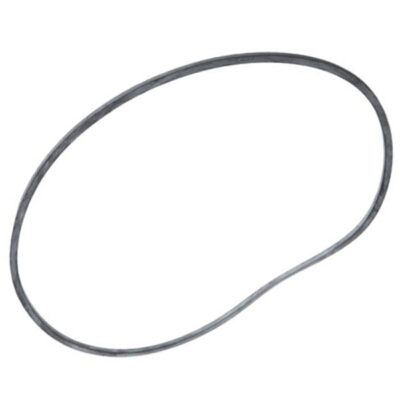 395013 Aladdin Pentair® Americana II Seal Plate O-Ring Gasket O-300