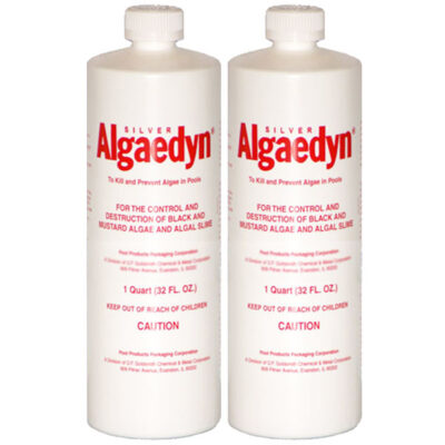 47-600 Silver Algaedyn Algae Remover Algaecide 32 oz. 2-Pack Multi-Pack