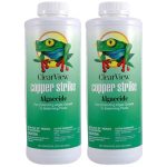 CVLCSQT12 Clearview Copper Strike Pool Algaecide 32oz. (2 Count)