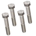 355621 Pentair 342002 SuperFlo VST Pump Bolt (4 Count)