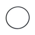 355331Z Pentair 342002 SuperFlo VST Pump Diffuser Seal O-Ring