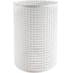 371255 Pentair 360476 Leaf Canister Basket