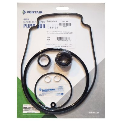 356198 GENUINE Pentair IntelliFlo & WhisperFlo Pool Pump Seal Kit