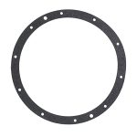 79200400 Pentair Liner Sealing Ring 10 Hole Standard One Gasket