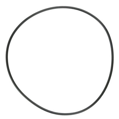 152127 Pentair® Nautilus NS Filter Tank O-Ring O-184