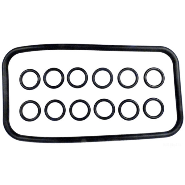 77707-0120 Pentair® Pool Heater Manifold O-Ring Kit