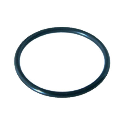 6020018 Pentair® SuperFlo VS Pump Union O-Ring