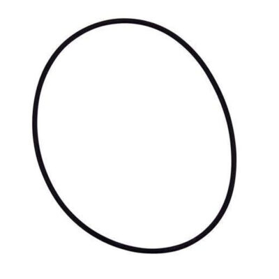 35505-1273 Pentair® U-3 Skimmer Float Valve O-ring Sta-Rite