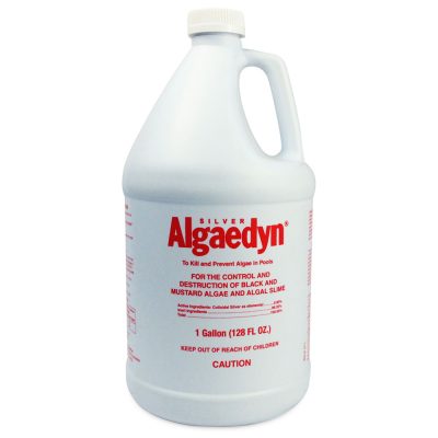 47-612-G Silver Algaedyn Algae Remover Algaecide 1 Gallon