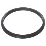 05501-0005Z SunGlow Sta-Rite Light Gasket